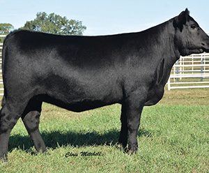 16DAUGHTER-DEER-VALLEY-FARM-TN
