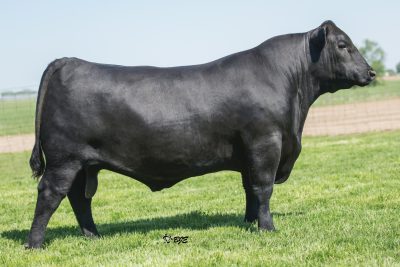 SS Niagara Z29
