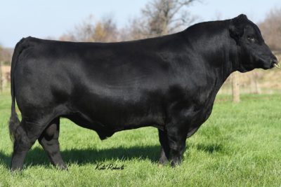 Quaker Hill Manning 4EX9