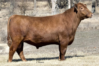LSF MEW X-Porter 6695D