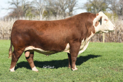 Mohican THM Excede Z426