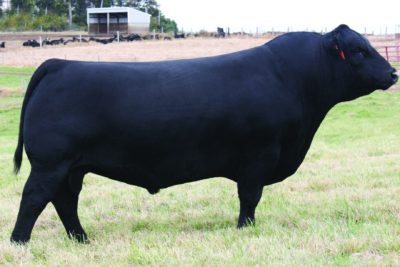 GW-WBF Substance 820Y