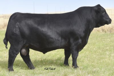 CCR PAYWEIGHT 0327C