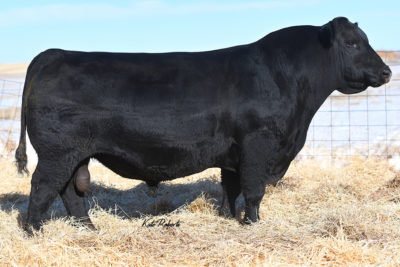 Tehama Bonanza E410