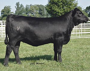 D1,-DEER-VALLEY-FARM,-TN—2