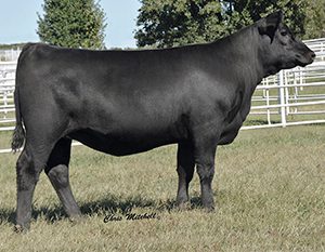 D2,-DEER-VALLEY-FARM,-TN—3