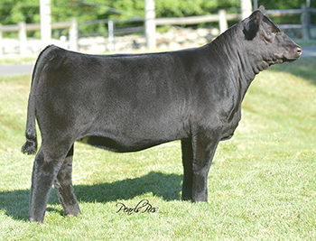D_HUDSONPINESFARM_NY