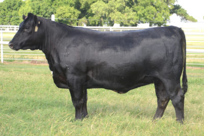 DAUGHTER_EXPRESSRANCHES