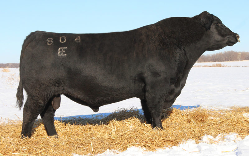E&B-NEW-ADDITION-608