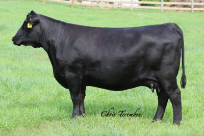 FULL SISTER TO MANNING