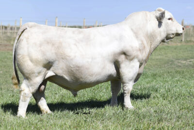 LT Affinity 6221 PLD