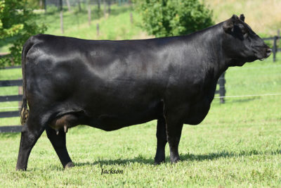LEGACY FARMS-DANIEL AND LINDSEY REYNOLDS