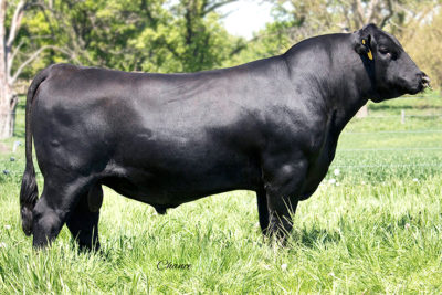 RES Dark Fire E612