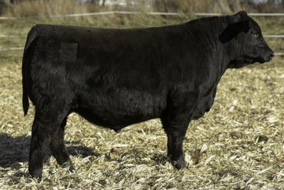 Baldridge Conductor E061