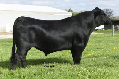 G A R For Sure P357