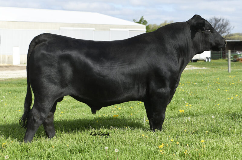 FOR-SURE-AN572-MIN