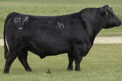 G A R Approach M9210