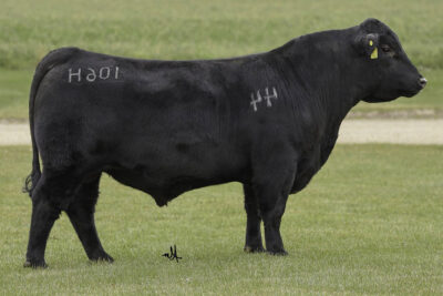 44 Ruler 106H
