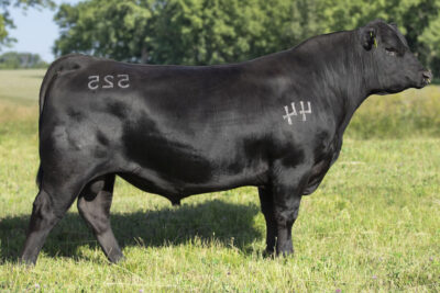 44 Feature 184H