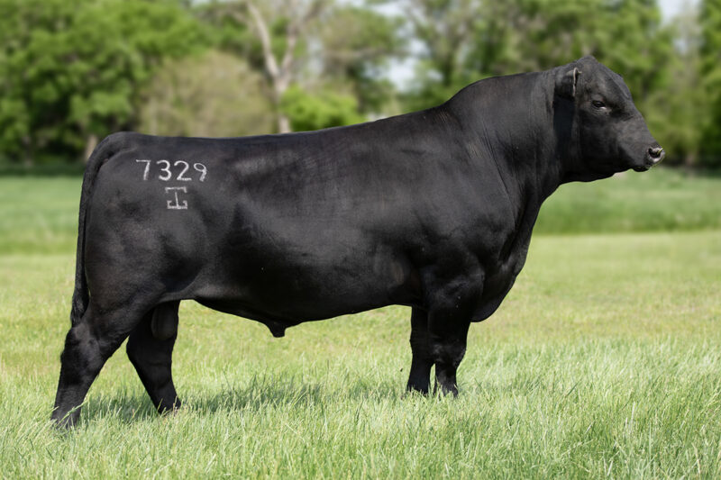 7AN665_FLAGSTAFF_FULL