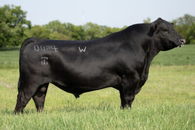 G A R Bucklin W0084