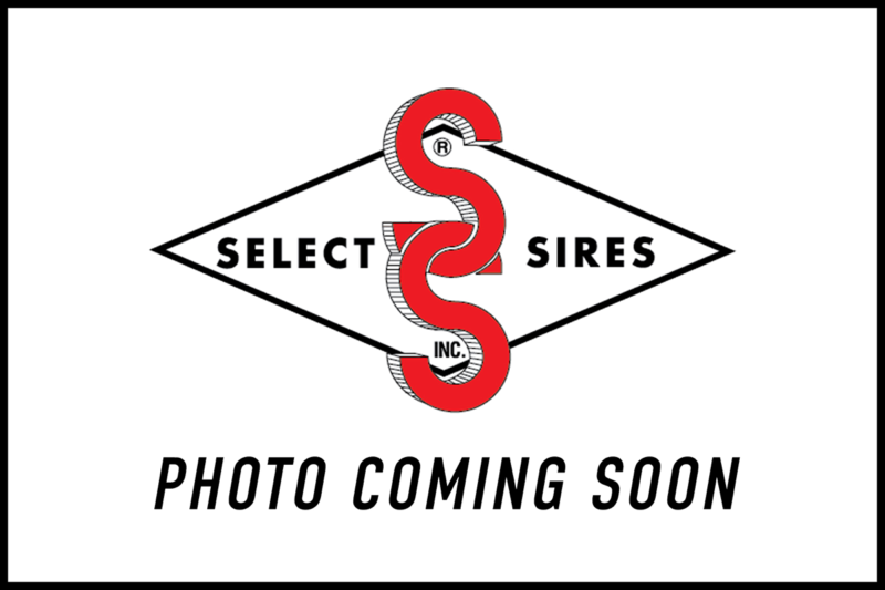 PHOTOCOMINGSOON