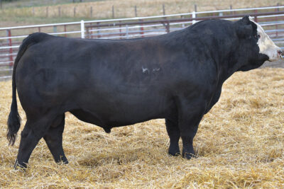 MR SR Highlife G1609