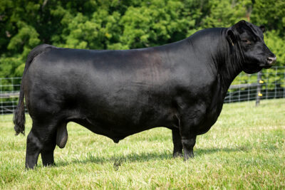 Baldridge Movin On G780