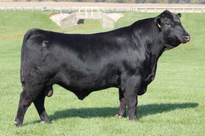 Riverbend Good Book F255