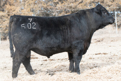 MCC-PLG Colt B632G