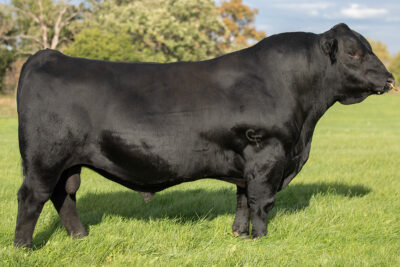 Gibbs 7382E Broad Range