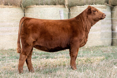 DAUGHTER-NEIDIG-FARMS,-NE-F309