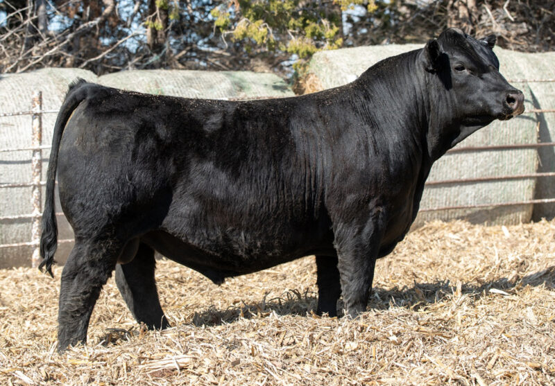 7SM140-DUTTON