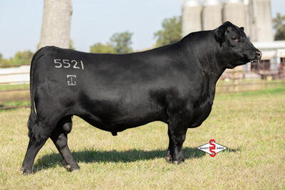 GAR Dayton 5521