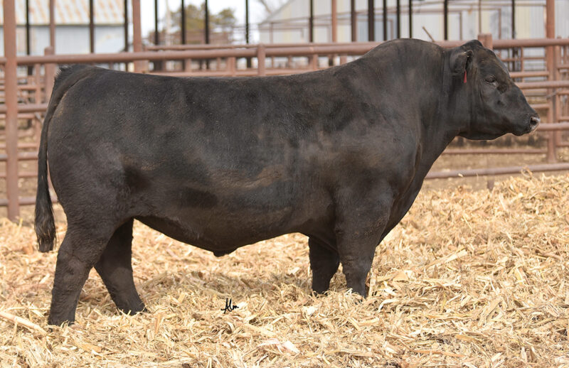 7SM142-PONTIAC